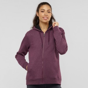 Bluza z Kapturem Damskie Salomon Essential Warm Fioletowe | 60124-DSFM