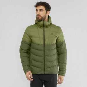 Bluza z Kapturem Męskie Salomon Essential Xwarm Insulated Zielone | 47186-GBAN