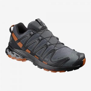 Buty do Biegania w Terenie Męskie Salomon Xa Pro 3D V8 Gore-Tex Gray | 01437-LNIQ