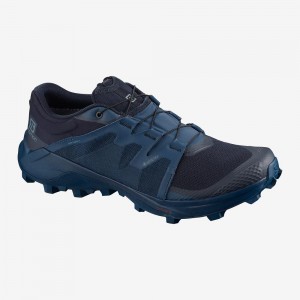 Buty do Biegania w Terenie Męskie Salomon Wildcross Gtx Granatowe | 76102-YMZE