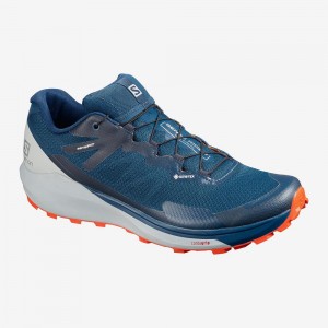 Buty do Biegania w Terenie Męskie Salomon Sense Ride 3 Gtx Invis. Fit Niebieskie | 23406-DHNC