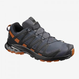 Buty do Biegania w Terenie Męskie Salomon Xa Pro 3D V8 Gore-Tex Szerokie Gray | 51863-UBDM