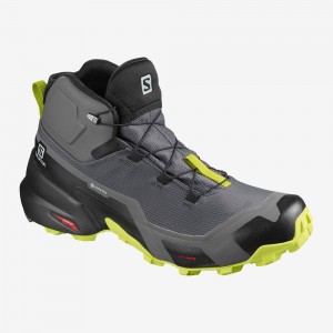 Buty do Chodzenia Męskie Salomon Cross Hike Mid Gore-Tex Gray | 04785-GJTR