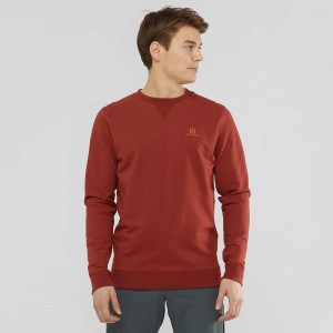 Pulower Męskie Salomon Shift Crewneck M Czerwone | 94287-SCHO