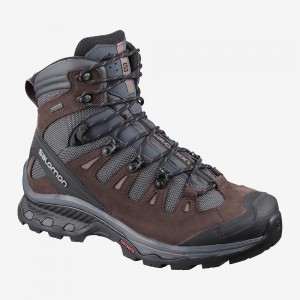 Trekking Damskie Salomon Quest 4D 3 Gtx W Gray | 84723-IGTX