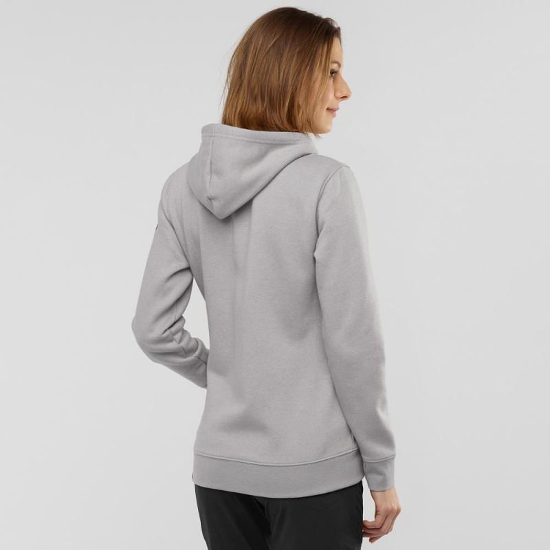 Bluza z Kapturem Damskie Salomon Essential Warm Gray | 31670-CKRG