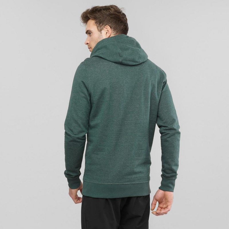 Bluza z Kapturem Męskie Salomon Shift Hoodie M Zielone | 53064-PCAM