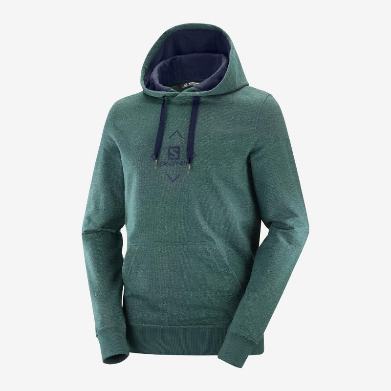 Bluza z Kapturem Męskie Salomon Shift Hoodie M Zielone | 38769-RKEM