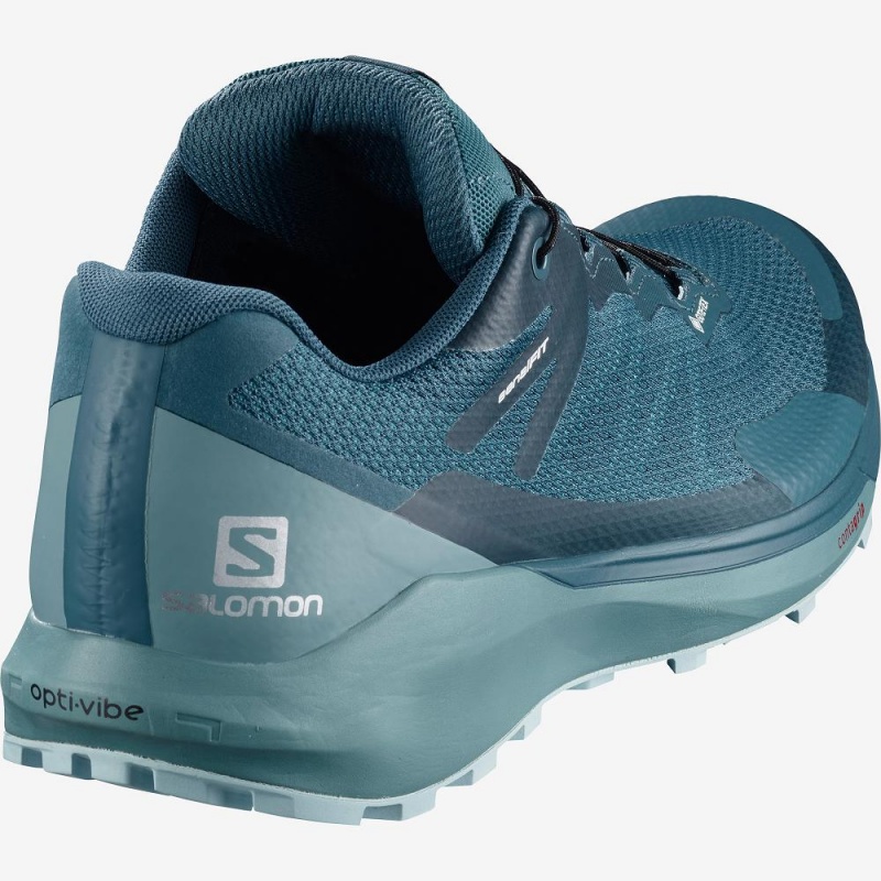 Buty do Biegania w Terenie Damskie Salomon Sense Ride 3 Gtx Invis. Fit W Niebieskie | 14970-USMQ