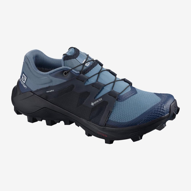 Buty do Biegania w Terenie Damskie Salomon Wildcross Gtx Niebieskie | 07945-MCXJ