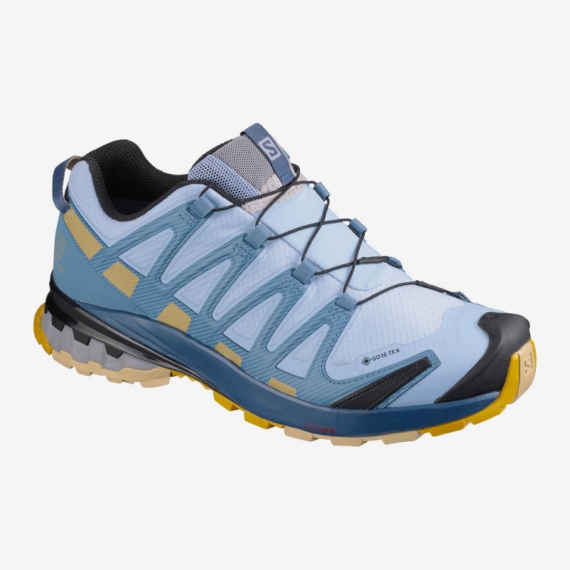 Buty do Biegania w Terenie Damskie Salomon Xa Pro 3D V8 Gore-Tex Niebieskie | 90872-DBRO