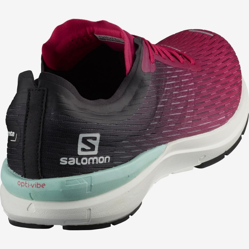 Buty do Biegania w Terenie Damskie Salomon Sonic 3 Accelerate W Różowe | 89457-DLQO