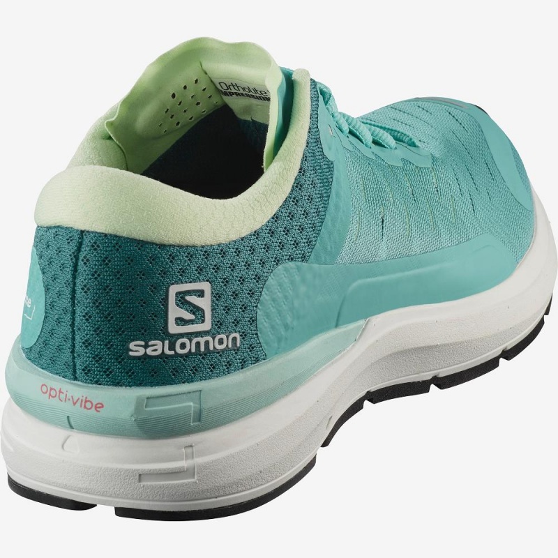 Buty do Biegania w Terenie Damskie Salomon Sonic 3 Confidence W Zielone | 27453-YNOG