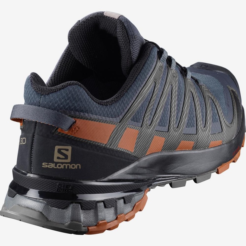 Buty do Biegania w Terenie Męskie Salomon Xa Pro 3D V8 Gore-Tex Gray | 01437-LNIQ