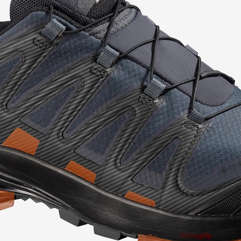 Buty do Biegania w Terenie Męskie Salomon Xa Pro 3D V8 Gore-Tex Gray | 01437-LNIQ