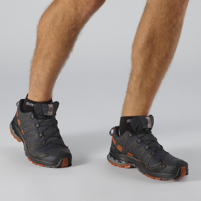 Buty do Biegania w Terenie Męskie Salomon Xa Pro 3D V8 Gore-Tex Gray | 01437-LNIQ