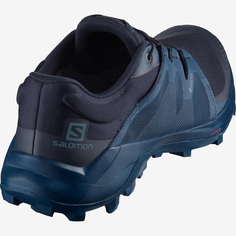 Buty do Biegania w Terenie Męskie Salomon Wildcross Gtx Granatowe | 76102-YMZE