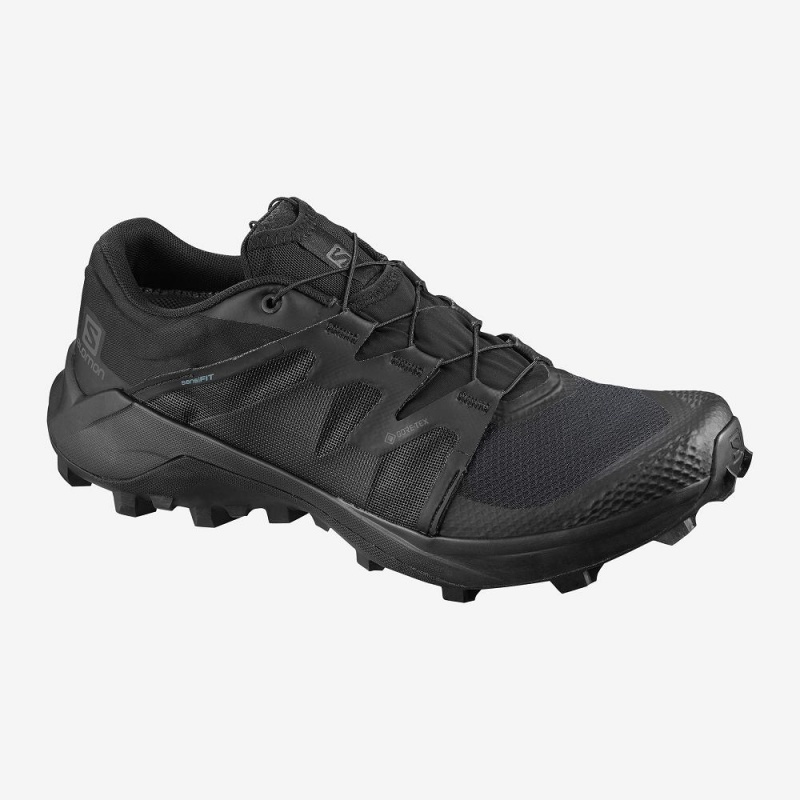 Buty do Biegania w Terenie Męskie Salomon Wildcross Gtx Czarne | 07961-QOSC