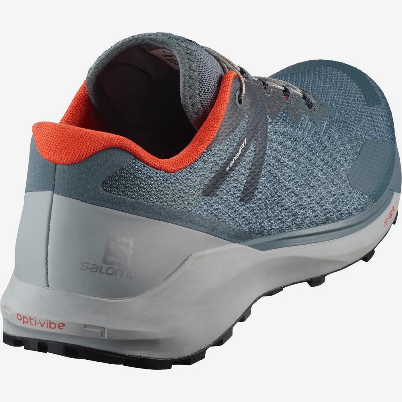 Buty do Biegania w Terenie Męskie Salomon Sense Ride 3 Gray | 38641-SHGI