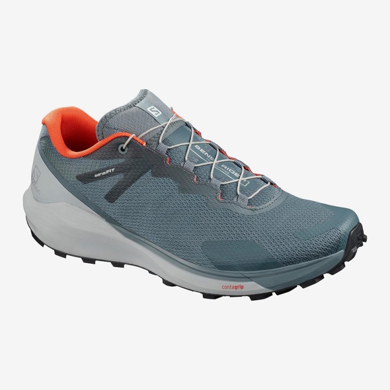 Buty do Biegania w Terenie Męskie Salomon Sense Ride 3 Gray | 38641-SHGI