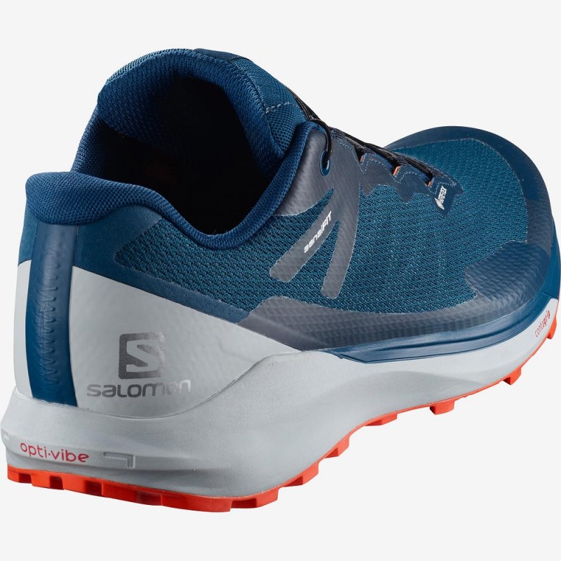 Buty do Biegania w Terenie Męskie Salomon Sense Ride 3 Gtx Invis. Fit Niebieskie | 23406-DHNC