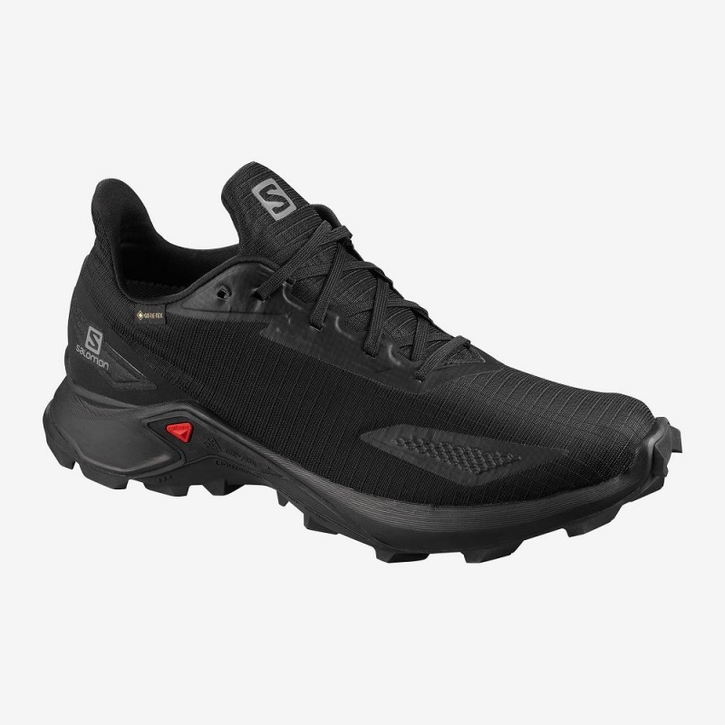 Buty do Biegania w Terenie Męskie Salomon Alphacross Blast Gtx Czarne | 08439-HPCE