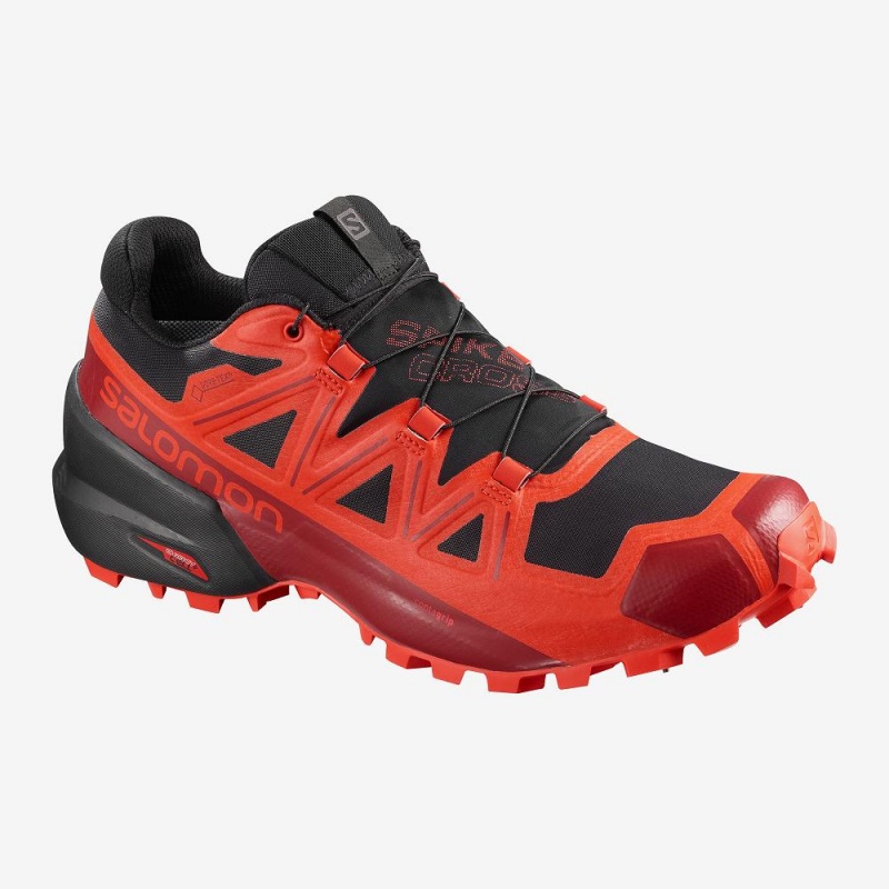 Buty do Biegania w Terenie Męskie Salomon Spikecross 5 Gore-Tex Czarne | 05237-TRCV