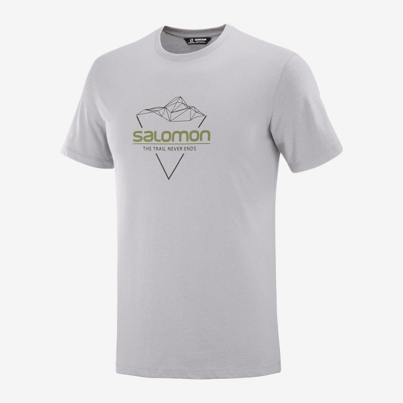 Koszulki Męskie Salomon Blend Logo Tee M Gray | 45863-IYDF