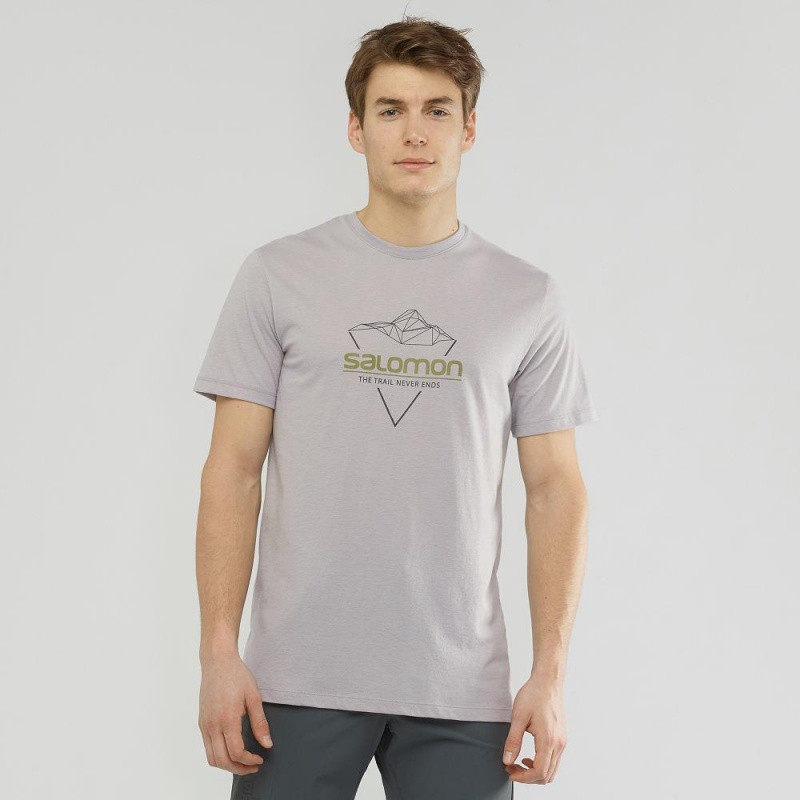 Koszulki Męskie Salomon Blend Logo Tee M Gray | 45863-IYDF