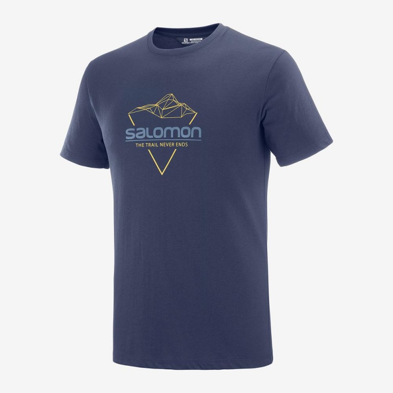 Koszulki Męskie Salomon Blend Logo Tee M Granatowe | 76312-PDLC