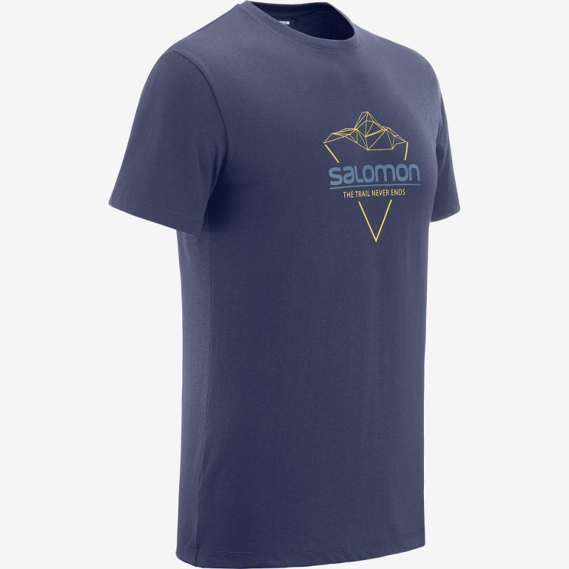 Koszulki Męskie Salomon Blend Logo Tee M Granatowe | 76312-PDLC