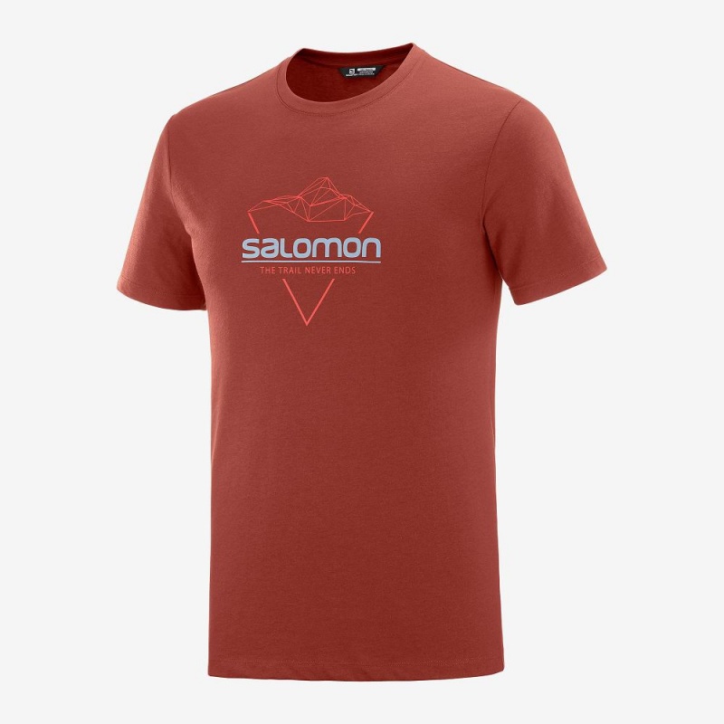 Koszulki Męskie Salomon Blend Logo Tee M Czerwone | 98370-NCUF