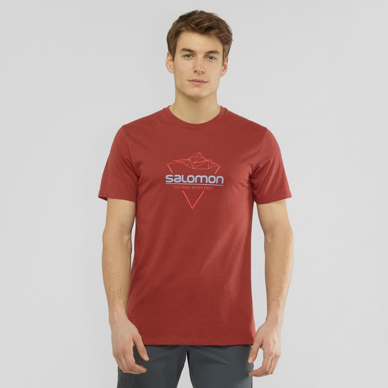 Koszulki Męskie Salomon Blend Logo Tee M Czerwone | 98370-NCUF