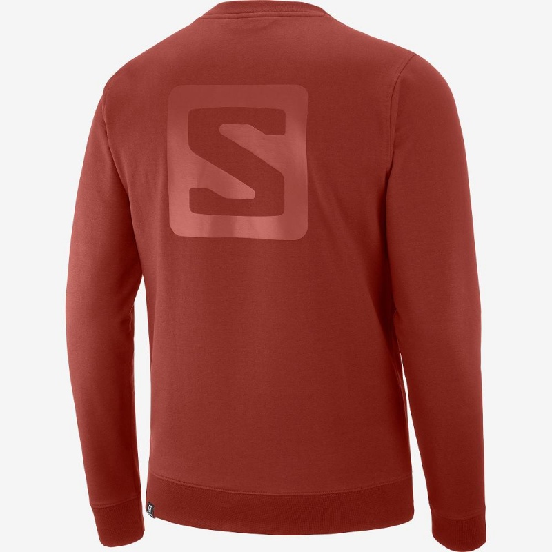 Pulower Męskie Salomon Shift Crewneck M Czerwone | 94287-SCHO